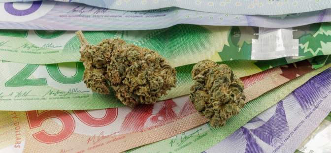 cannabis bud on Canadian money