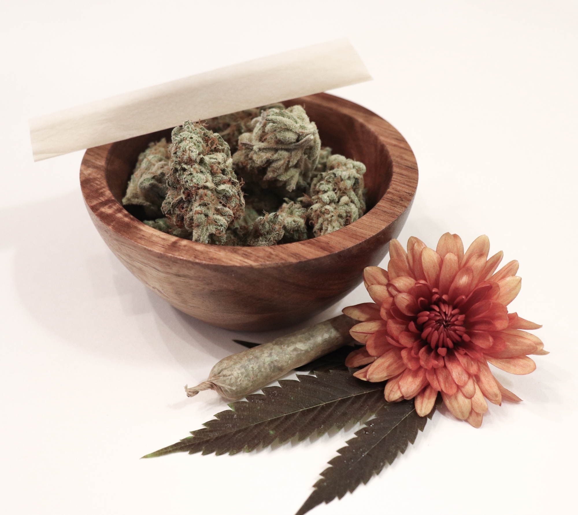 cannabis bud with flower
