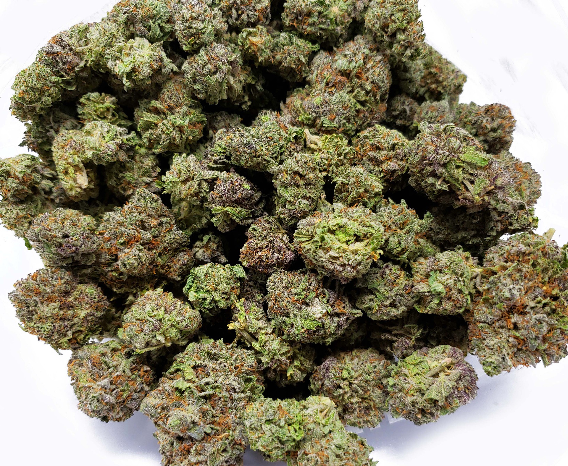 cannabis buds on display